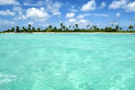 Do not request a wallpaper (eg: Summer Desktop Backgrounds Free Group 83