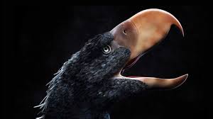 James pete 15 gün önce. Bbc Earth The Reign Of The Terror Birds