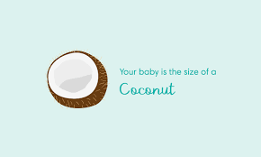 The conversion factor from days to weeks is 0.14285714285714, which means that 1 day is equal to. 31 Weeks Pregnant Symptoms And Baby Development Pampers