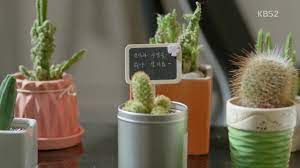 We did not find results for: Jugglers Episode 14 Dramabeans Korean Drama Recaps