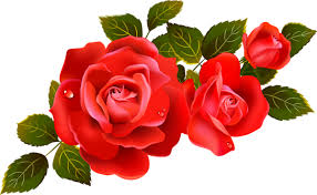 Large Red Roses Clipart Element Rose Flower Png Rose Flower Pictures Flower Art
