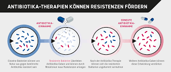 Antibiotika Wissen Helmholtz Zentrum Fur Infektionsforschung