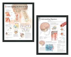 Set Of 2 Framed Medical Posters Understanding The Head And