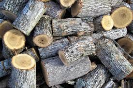 Here are four real options that you can take advantage of. Free Firewood 8 Places To Find It Near You Insteading