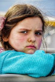 Colorful butterflies at Tennessee state park