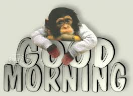 Good Morning Monkey Gif Goodmorning Monkey Discover Share Gifs Funny Good Morning Wishes Good Morning Gif Good Morning Love Gif