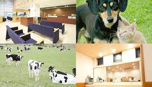 Ammonia is formed in animal growing houses (agh) as a resultof the decomposition of urine and feces. Measuring Putrid Smell And Ammonia Handheld Odor Meter Omx Adm