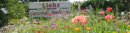 Algen sind im überfluss eine tödliche bedrohung für die gesamte teichbiologie und. Wir Uber Uns Liehr Garten Und Ambiente Ein Familienbetrieb In 3 Generation