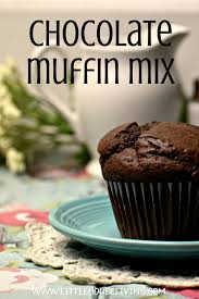 Chocolate Muffin Mix Recipe Recipe Muffin Mix Recipe Easy Chocolate Muffins Chocolate Muffin Recipe