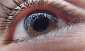 Credit Cc0 Public Domain Scientists Have Found Significant Differences In The Shape And Biology Of The Sam Eye Sight Improvement Eye Health Laser Eye Surgery