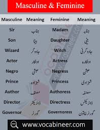 List Of Male And Female Words With Urdu Masculine And Feminine In Urdu Pdf List Of Ma English To Urdu Dictionary Learn English Words English Vocabulary Words