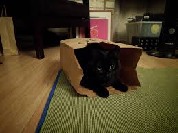 Black Baby Kittens With Green Eyes Our Green Eyed Girl Bibi Hello There Bright People Are You Catlover Or Have You Any Pretty Cat Girl With Green Eyes Cats And Kittens Cute Baby Animals