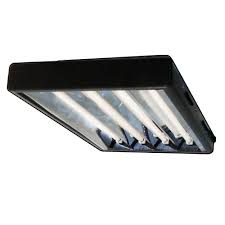 Maybe you would like to learn more about one of these? T5 Propagation Cloning Grow Light 4 X 24w Tubes 6400k