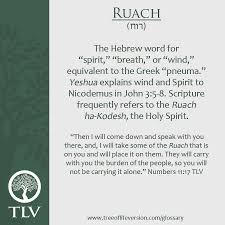 Pin By Kristen Newell On Hebrew Words Hebrew Words Words Learn Hebrew