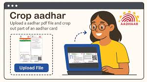[Aadhar Icon]