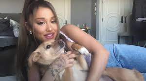 The room was so happy and. Ariana Grande And Justin Bieber S Stuck With U Video Has Cameos From Demi Lovato Dalton Gomez And More Teen Vogue