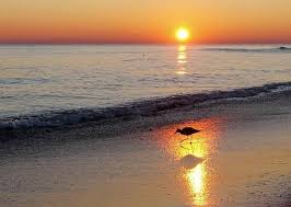 Check spelling or type a new query. Things To Do In Atlantic Beach Beaufort Nc Coast Visitnc Com