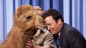 Is Camel Toe Sexy? An Investigation - by Randee Neumeyer