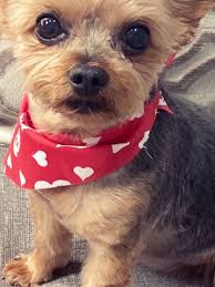 I miss you peanut. Last nights episode had me balling my eyes out. Not a  single day goes by without me thinking of you and hoping you are happy and  okay. I