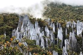 Gunung mulu national park (taman negara gunung mulu, ) is in sarawak on the island borneo, near the border with brunei. Tripadvisor 3 Days 2 Nights Unesco World Heritage Mulu 4 Showcaves Provided By Borneo Tours By Brighton Travel Gunung Mulu National Park Sarawak