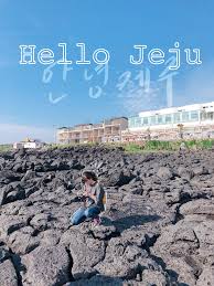 The property features gardens, a terrace and free parking. The Travel Bug Hello Jeju Coffee Scribbles