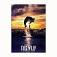 Movie Night: Free Willy event image