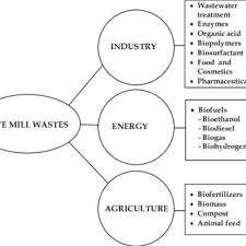 Pdf Microbial Biotechnology In Olive Oil Industry