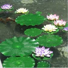 Check spelling or type a new query. Jual Eva Mat Floating Lotus Leaf Daun Teratai Apung 17 Cm Kota Denpasar Me Mom Jimbaran Bali Tokopedia