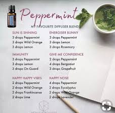 Peppermint Oil Essential Oil Blends Essential Oils Work Essential Oils Aromatherapy Essential Oil Diffuser Recipes