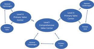 2019 aats acc ase scai sts expert consensus systems of care