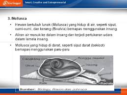 Hidung, karena hidung merupakan saluran pernapasan yang dapat memepercepat udara masuk ke dalam tubuh untuk segera digunakan dalam kegiatan pernapasan. Sistem Pernapasan Pertemuan 9 Harlinda Syofyan S Si