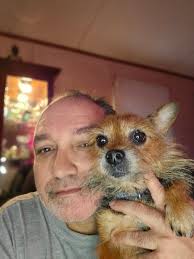 Lost small dog in Floral Section, Royal Palm