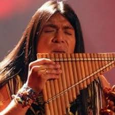 Dina Fernandes's Instagram, Twitter & Facebook