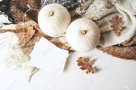 If one light goes out, the rest stay lit. Autumn Cozy Composition Blank Card Mockup Scene White Pumpkins Stock Photo Picture And Royalty Free Image Image 109851129