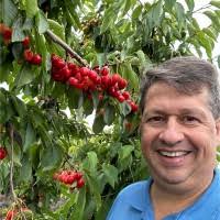 100+ perfis com “Benassi”