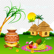 Daun pohon mangga mengandung tanin dan anthocyanin, yang membantu untuk mengobati diabetes awal. Selamat Pongal Ilustrasi Salam Thai Pongal Makar Sankranti Wish Festival Panen Mattu Pongal Pondok Pondok India Makanan Dicat Daun Png Pngwing