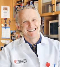 Kenneth W. Simpson, Ph.D., BVMs, MRCVS, ACVIM, ECVIM