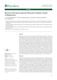 Image result for Agrostis quinqueseta