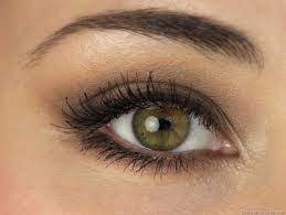 Wenn ihre haare dunkelbraun sind, sollten sie für ihre grünen augen zu einem flaschengrünen lidschatten greifen. Bildergebnis Fur Braun Grune Augen Grune Augen Schminken Braune Augen Schminken Make Up Fur Grune Augen