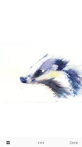 See more ideas about tattoos, watercolour tattoos, cool tattoos. Badger In Watercolour Watercolor Animals Animal Paintings Water Painting