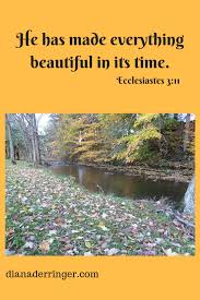  Pin On God S Awesome Gorgeous Creations