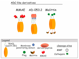 24 de octubre de 1950) es una coordinadora de producción musical, diseñadora de joyas y escritora estadounidense. Antibodies And Derivatives Targeting Dr4 And Dr5 For Cancer Therapy Abstract Europe Pmc