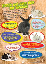 Pin On Pet Care