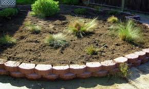 Check spelling or type a new query. Raised Bed On Concrete Yes Or No Epic Gardening