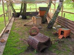 Outdoor Rabbit Care Outdoor Rabbit Housing Fuzbunz Rabbit Playground Rabbit Cages Outdoor Rabbit Hutches