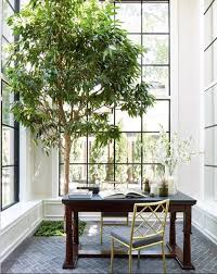 Tree houses are buildings constructed among the branches or next to the trunk of one or more tree houses can be built for recreation or permanent habitation. Here S What You Need To Know About Growing A Tree Out Of The Floor Of Your Home Indoor Trees