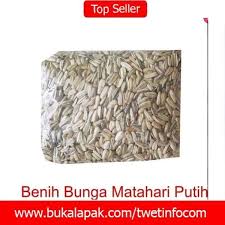 Plastik kresek, kawat,lem tembak dan besi untuk batang ditengah tengah.cara membuatnya. Beli Biji Benih Bunga Matahari Jumbo Dengan Harga Murah Rp15 000 Di Lapak Cv Bambang Mas Kab Blitar Pengiriman Cepat Pembayaran 1 How To Dry Basil Herbs