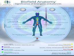 Check out our anatomy map selection for the very best in unique or custom, handmade pieces from our wall décor shops. Biofield Viewer 3 3 Interpretation Training