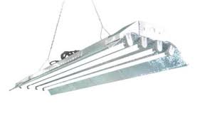 Check spelling or type a new query. T5 Grow Light Dl844s Ho Fluorescent Hydroponic Fixture Bloom By Led Grow Lights Judge Medium