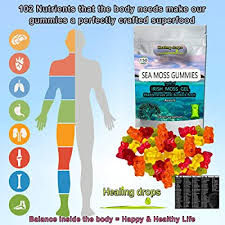 How i made seamoss powder. Buy Sea Moss Gummies Irish Sea Moss Raw Organic Wildcrafted Sun Dried Seamoss Powder And Gel With Bladderwrack Burdock Root Alkaline Keto Vegan Non Gmo Diet Thyroid Healthy Skin